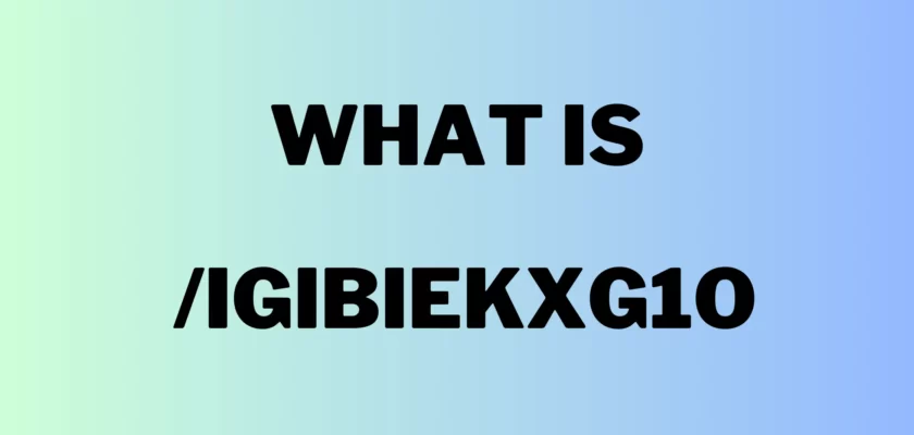 What is /igibiekxg1o?